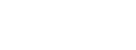 Saga